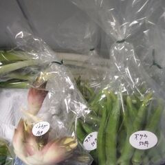 新鮮野菜コーナーの10月14日の品出し予定です。