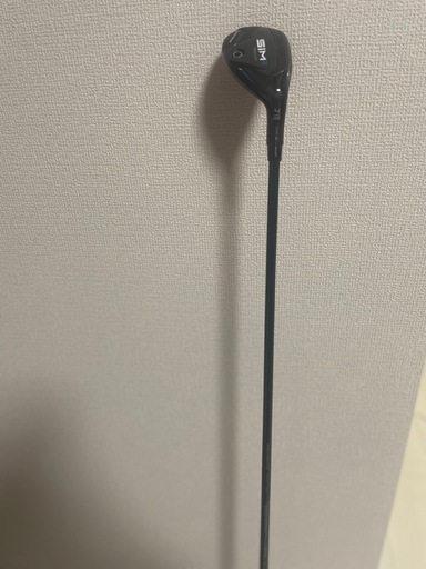 ゴルフクラブ⛳️