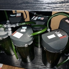 水槽一式(水槽、水槽台、外部フィルター)生体(コリドラスほか)の画像