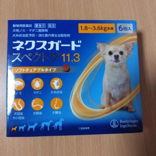 ネ　ク　ス　ガ　ー　ド　6個