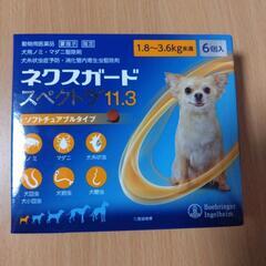 ネ　ク　ス　ガ　ー　ド　6個