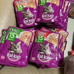 猫のごはん