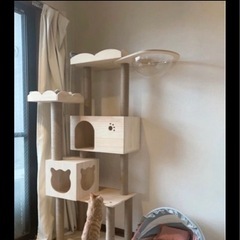猫のキャットタワーの画像