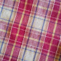 雑貨屋購入 赤チェックの可愛いのれんの画像