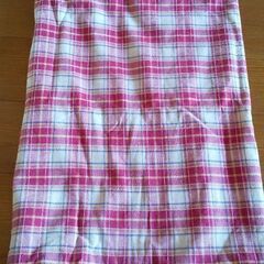 雑貨屋購入 赤チェックの可愛いのれんの画像