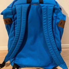 パタゴニアのバックパック25L（中古）の画像
