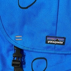 パタゴニアのバックパック25L（中古）の画像