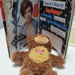 オフィシャル 1D プロデュース ONE DIRECTION BEAR&BOOK

の画像