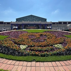 【パークへ行こう！】ディズニー友達大募集🎵