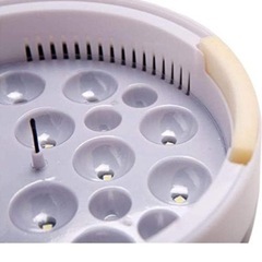 鶏用孵化器の画像