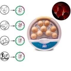 鶏用孵化器の画像