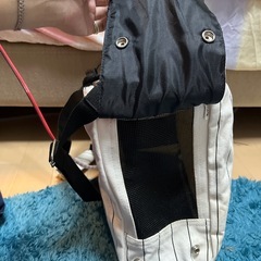 ペットの移動バックの画像