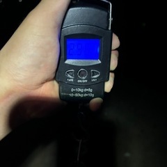 釣りものクエの画像