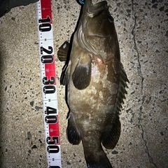 釣りものクエ