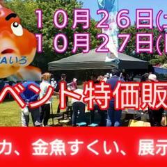 📢メダカ、金魚特価直接販売　🉐メダカ〜2000円以内🉐養魚場で育...
