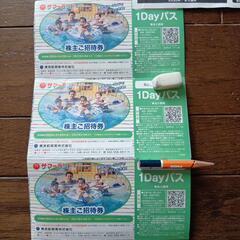 2024サマーランド　1dayパス 3枚