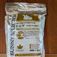 イースター　バニーセレクション　シニア　１．３ｋｇ うさぎ①