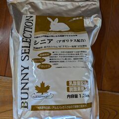 イースター　バニーセレクション　シニア　１．３ｋｇ うさぎ②