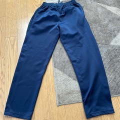 TIGORAジャージの画像