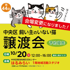 10/20(日)晴海「はるみらい」中央区飼い主のいない猫譲渡会
