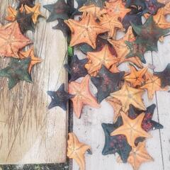 取り引き決定の画像