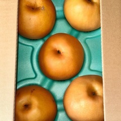 訳あり『新高』（にいたか）大玉5kg新潟加茂市産