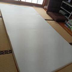 トゥルースリーパープレミアリッチ シングル 2時間ほど使用 掛け...