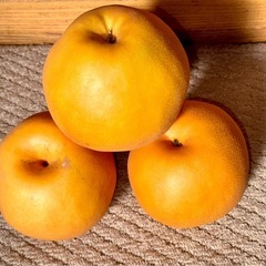 値下げ・大玉『新高』（にいたか）5kg加茂市産