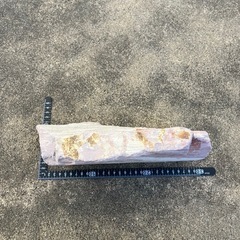 アクアリウム石材の画像