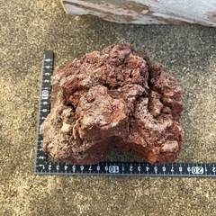 アクアリウム石材の画像