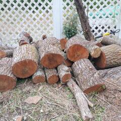 クヌギ、ナラ等　薪にの画像