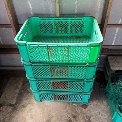 コンテナボックス(緑)浅め１個の価格