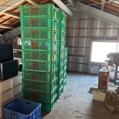 コンテナボックス(緑)浅め１個の価格の画像