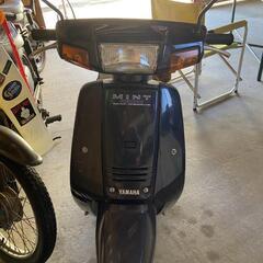 ヤマハミント　2スト