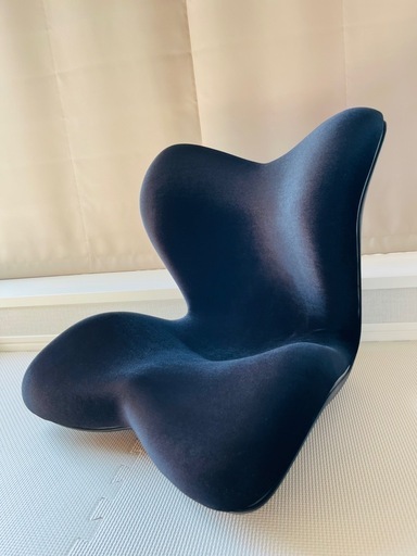 【美品】スタイル Style プレミアム デラックス PREMIUM DX