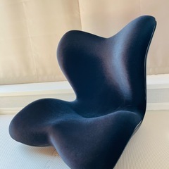 【美品】スタイル Style プレミアム デラックス PREMIUM DX 