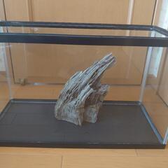 （お取引中）流木（アクアリウム）