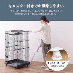 猫ゲージの画像