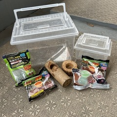 カブトムシ飼育セット　一式