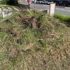 食品