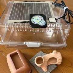 レオパ　飼育セット　爬虫類　ケージ　レプティギア　ウエットシェルター