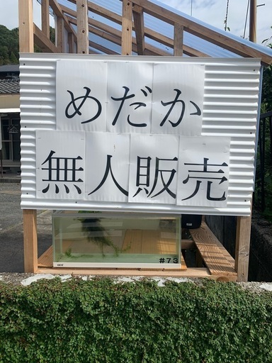 メダカ無人販売大好評！ (73メダカ) 慈眼寺のその他の無料広告