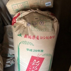 令和5年産コシヒカリ（商談中）