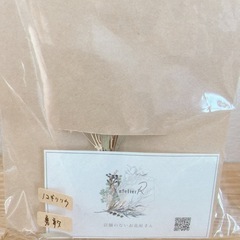 ドライフラワー　ノコギリソウ　未開封の画像