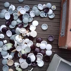 ネジ類１１　プラスチックキャップ座金の画像