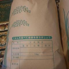 新米令和6年玄米