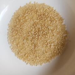 新米令和6年玄米の画像