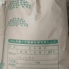 新米令和6年玄米の画像