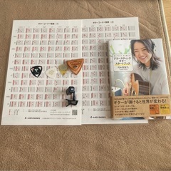 シーガルS6 アコギ　最終値引きの画像