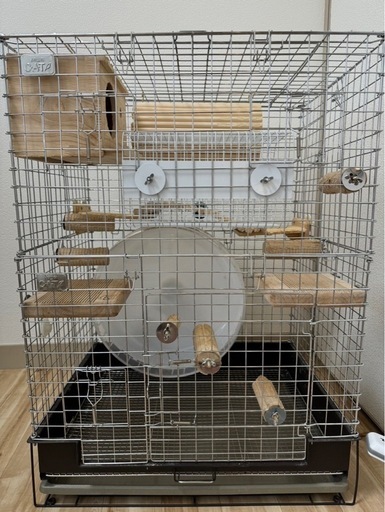 KAWAI コンフォート60チンチラスペシャル